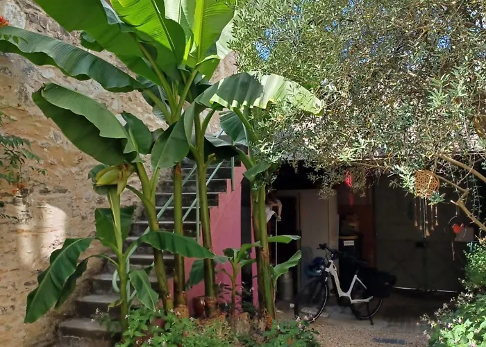 D'hôtes à Avec Petit Déjeuner - Fr-1-622-119